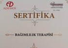 sertifika6 bağımlılık terapisi sertifikası